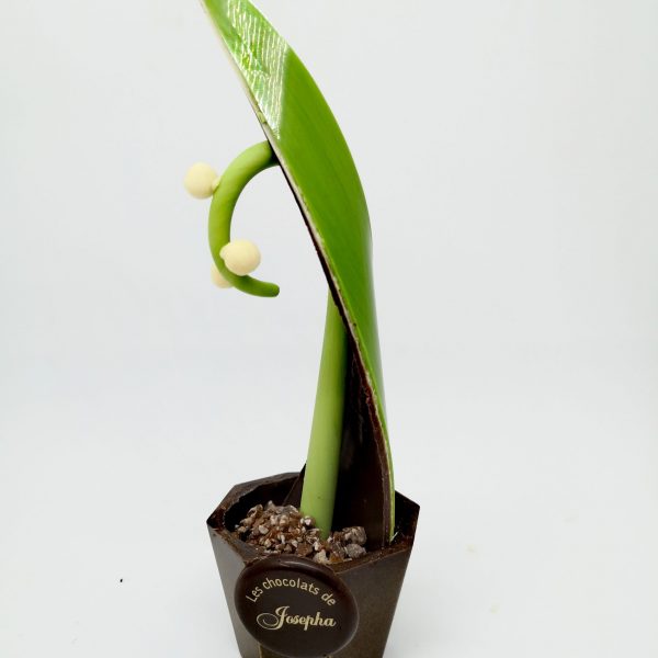 Pot de Muguet
